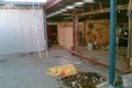 Property photo of 4 Tebbutt Street Leichhardt NSW 2040