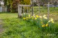 Property photo of 16817 Bass Highway Flowerdale TAS 7325