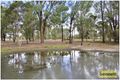 Property photo of 206 Reynolds Road Londonderry NSW 2753