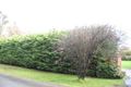 Property photo of 63 Buchanan Road Berwick VIC 3806