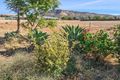 Property photo of 14 Andrews Avenue York WA 6302