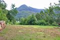 Property photo of 3137 Nerang Murwillumbah Road Natural Bridge QLD 4211