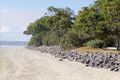 Property photo of 7 Margaret Street Urangan QLD 4655