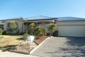 Property photo of 17 Red Angus Crescent Doreen VIC 3754
