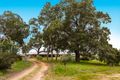 Property photo of 38 McHavloe Drive Gingin WA 6503