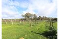 Property photo of 251 Blocks Road Leasingham SA 5452