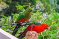Property photo of 22-24 Coomera Gorge Drive Tamborine Mountain QLD 4272