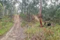 Property photo of 26-80 Kate Street Macleay Island QLD 4184