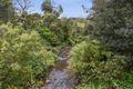 Property photo of 19 Lowries Road Oldina TAS 7325
