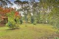 Property photo of 46 Nobelius Street Emerald VIC 3782