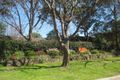 Property photo of 4 Thurlow Close Bolwarra NSW 2320
