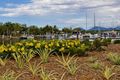 Property photo of 92 Harbour Drive Trinity Park QLD 4879