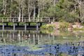 Property photo of 96 Brookeside Crescent Seventeen Mile Rocks QLD 4073