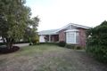 Property photo of 23 Benjamin Circuit Hunterview NSW 2330