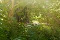 Property photo of 15/47 Kings Road Cooranbong NSW 2265