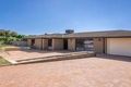 Property photo of 6 Armata Walk Mirrabooka WA 6061