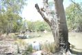 Property photo of 137 Billabong Creek Drive Conargo NSW 2710