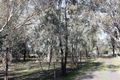 Property photo of 1003 High Street Violet Town VIC 3669
