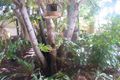 Property photo of 59 Studio Drive Oxenford QLD 4210