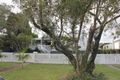 Property photo of 51 Kauri Street Cooroy QLD 4563