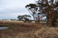 Property photo of 19 West Street Dumbleyung WA 6350