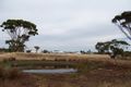 Property photo of 19 West Street Dumbleyung WA 6350
