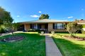 Property photo of 20 Palmer Crescent Forbes NSW 2871