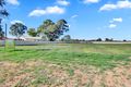 Property photo of 82 Arumpo Street Renmark West SA 5341