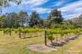 Property photo of 141 Limousin Way Lower Chittering WA 6084