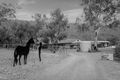 Property photo of 8 Acacia Close Toodyay WA 6566