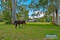 Property photo of 200 Donnybrook Road Donnybrook QLD 4510