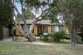 Property photo of 15 Spring Street Belmont VIC 3216