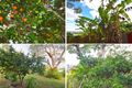 Property photo of 423 Ballina Road Lismore NSW 2480