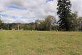 Property photo of 307 Kerry West Road Kerry QLD 4285