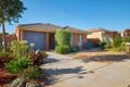Property photo of 36 Hollows Circuit Macgregor ACT 2615