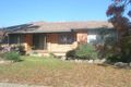 Property photo of 21 Cutler Avenue Cootamundra NSW 2590