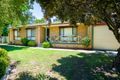 Property photo of 23 Lacebark Court Thurgoona NSW 2640
