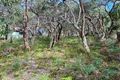 Property photo of 43 Forest Drive Fairhaven VIC 3231