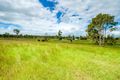 Property photo of 53 Lower Wonga Hall Road Lower Wonga QLD 4570