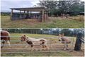 Property photo of 65 Stirling Road Peachester QLD 4519