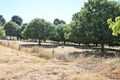 Property photo of 18 Mercury Lane Tumbarumba NSW 2653