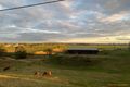 Property photo of 6 Autumn Close Hunterview NSW 2330