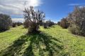 Property photo of 120 Muster Drive Napperby SA 5540
