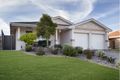Property photo of 3 Honeygum Way Mardi NSW 2259