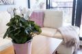 Property photo of 185/73 River Street Richmond VIC 3121