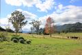 Property photo of 1175 Wiangaree Back Road West Wiangaree NSW 2474