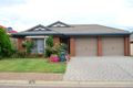 Property photo of 20 Cobbler Circuit Salisbury Heights SA 5109
