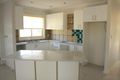 Property photo of 35 Grampian Avenue Minto NSW 2566
