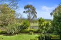 Property photo of 95 William Cox Drive Richmond NSW 2753