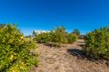 Property photo of 51 Darch Trail Gabbadah WA 6041